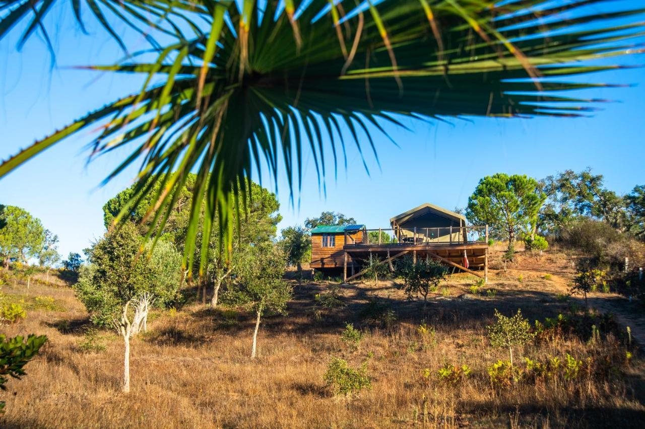 Figueirinha Ecoturismo Guest House Monte da Estrada Bagian luar foto