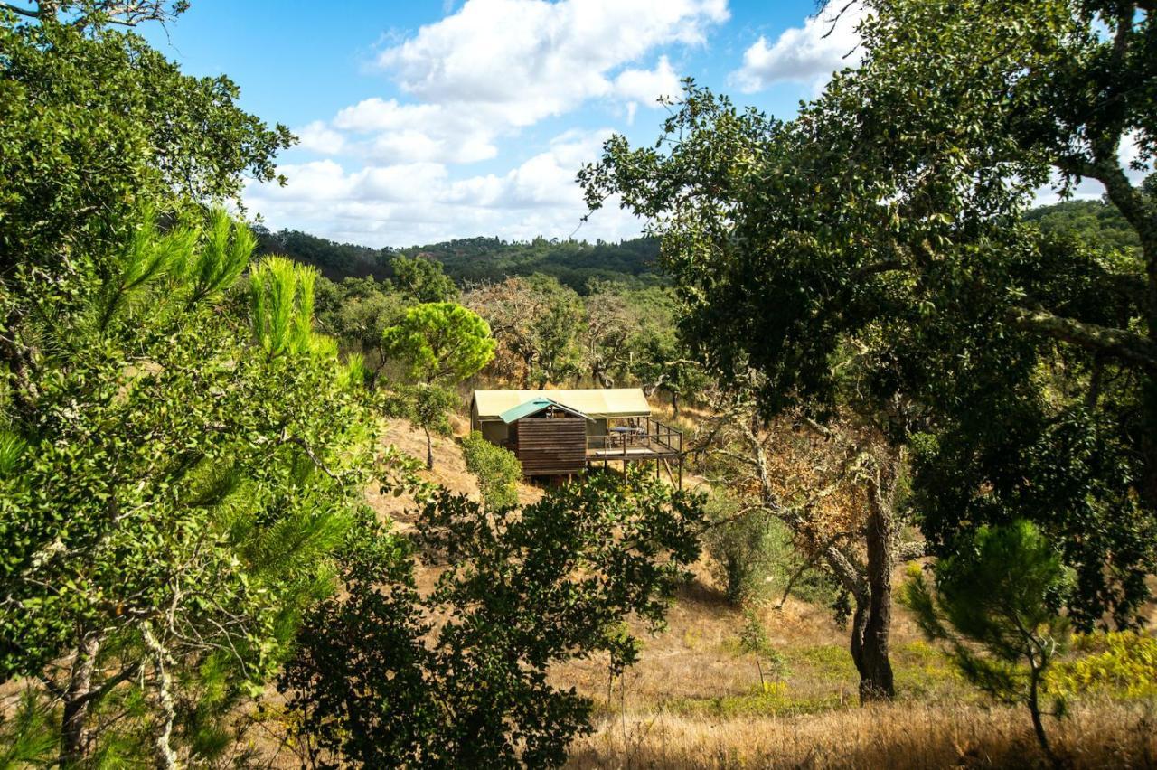 Figueirinha Ecoturismo Guest House Monte da Estrada Bagian luar foto