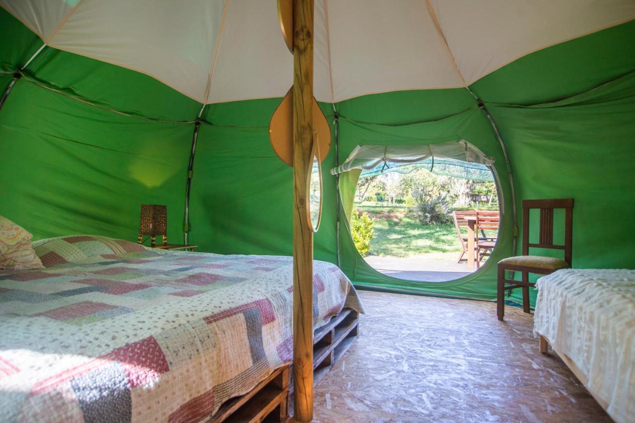Figueirinha Ecoturismo Guest House Monte da Estrada Bagian luar foto