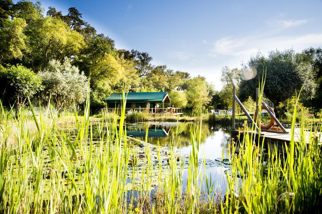 Figueirinha Ecoturismo Guest House Monte da Estrada Bagian luar foto
